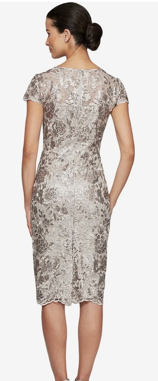NWT Alex Evenings Short Cap Sleeve Sequin Embroidered Sheath Dress Taupe - Picture 2 of 3